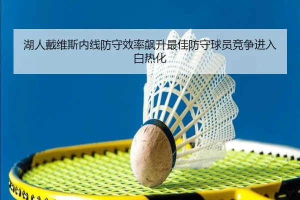 湖人戴维斯内线防守效率飙升最佳防守球员竞争进入白热化
